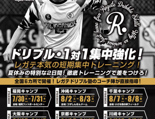 ついにこの夏、始動！